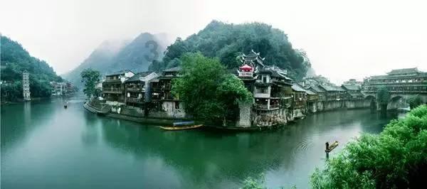 拯救昆虫群